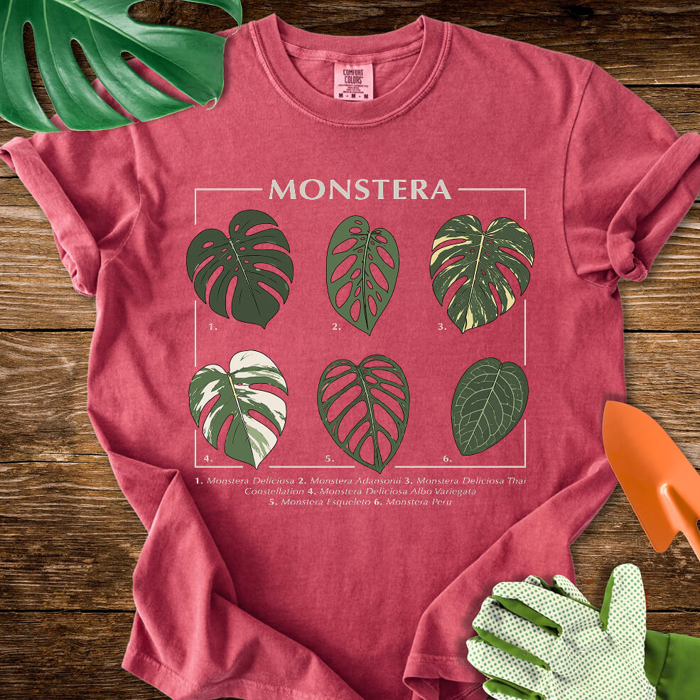 Crimson red Comfort Colors T-shirt with a labeled botanical chart of different Monstera leaves.