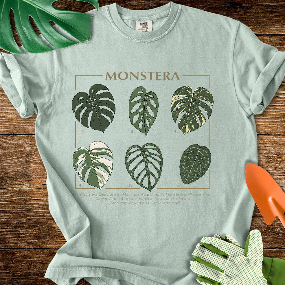 Bay sage green Comfort Colors T-shirt with a labeled botanical chart of different Monstera leaves.