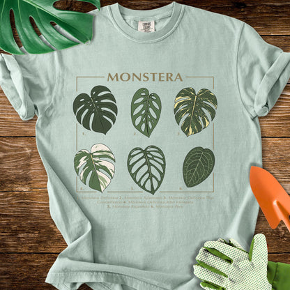 Bay sage green Comfort Colors T-shirt with a labeled botanical chart of different Monstera leaves.