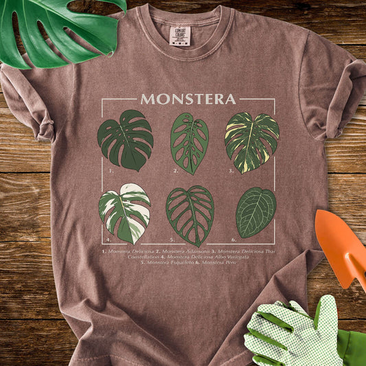 Espresso brown Comfort Colors T-shirt with a labeled botanical chart of different Monstera leaves.