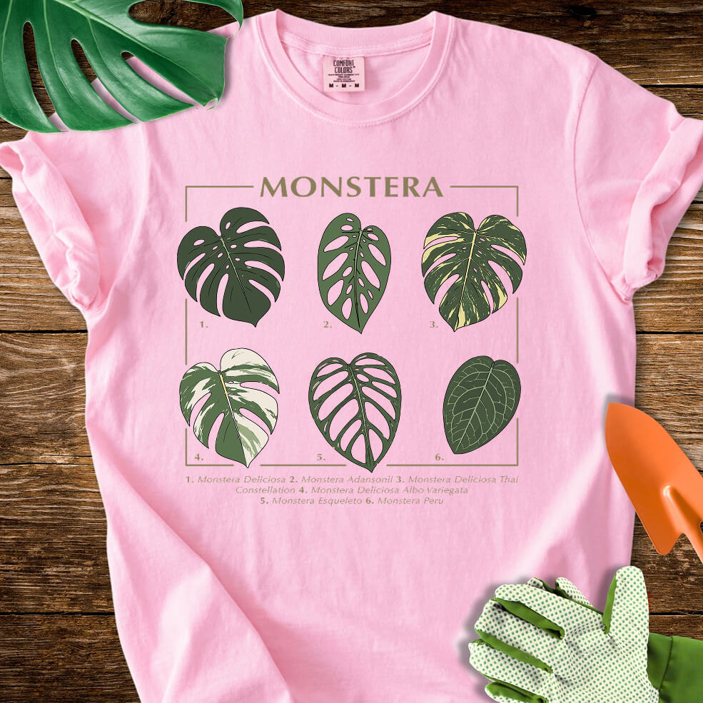 Blossom pink Comfort Colors T-shirt with a labeled botanical chart of different Monstera leaves.