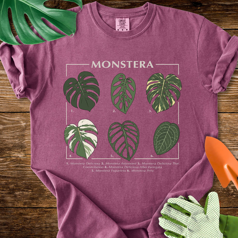 Berry purple Comfort Colors T-shirt with a labeled botanical chart of different Monstera leaves.