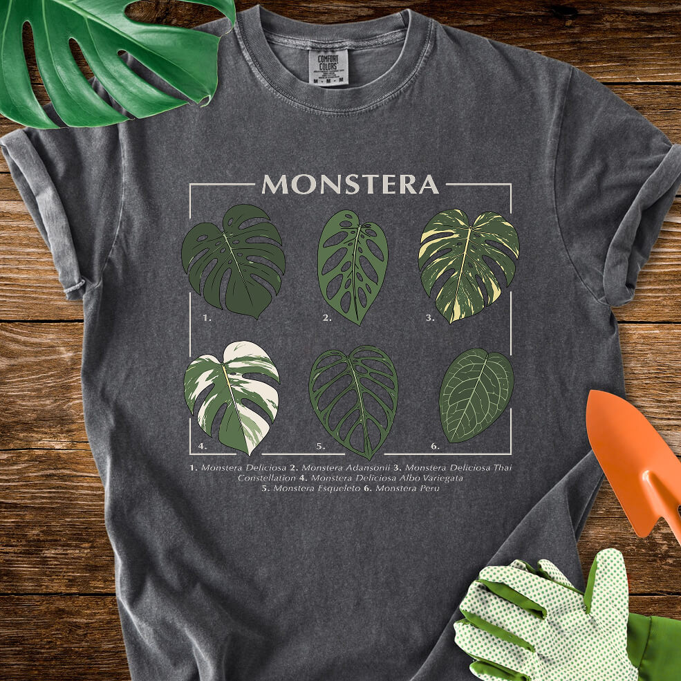 Pepper charcoal gray Comfort Colors T-shirt with a labeled botanical chart of different Monstera leaves.