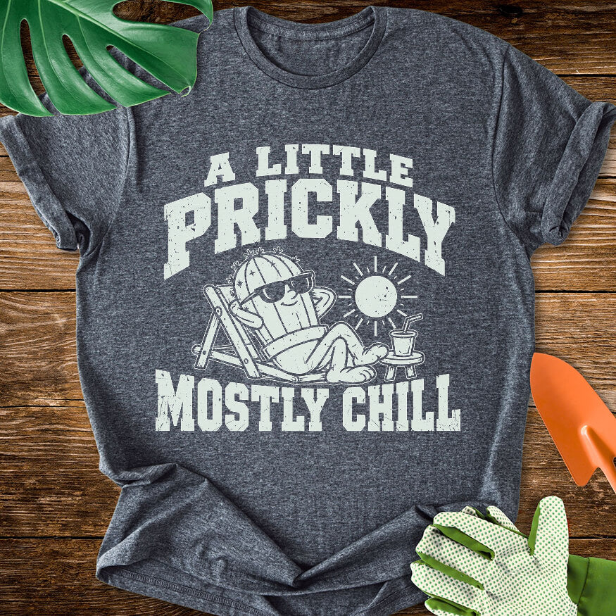Dark heather gray T-shirt with a cactus relaxing in sunglasses with "A Little Prickly, Mostly Chill".